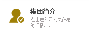 集團簡(jiǎn)介